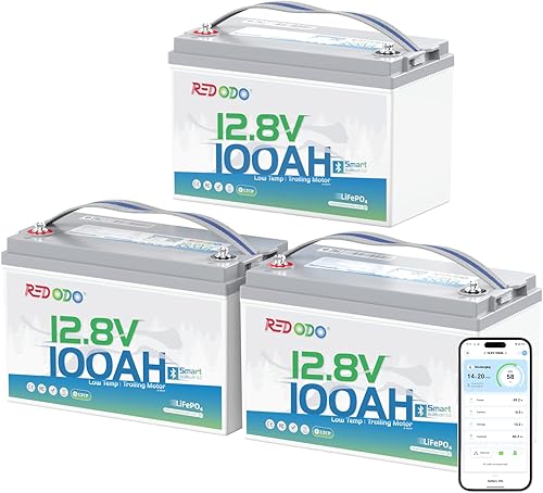 Miniatura 8 de Redodo Batería de litio LiFePO4 de 12V 12Ah, celdas de grado automotriz, 4000 ciclos profundos, 3.2 libras ultra ligeras, protección BMS, batería