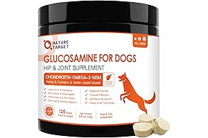 Glucosamine for Dogs: The Ultimate Joint Support Supplement