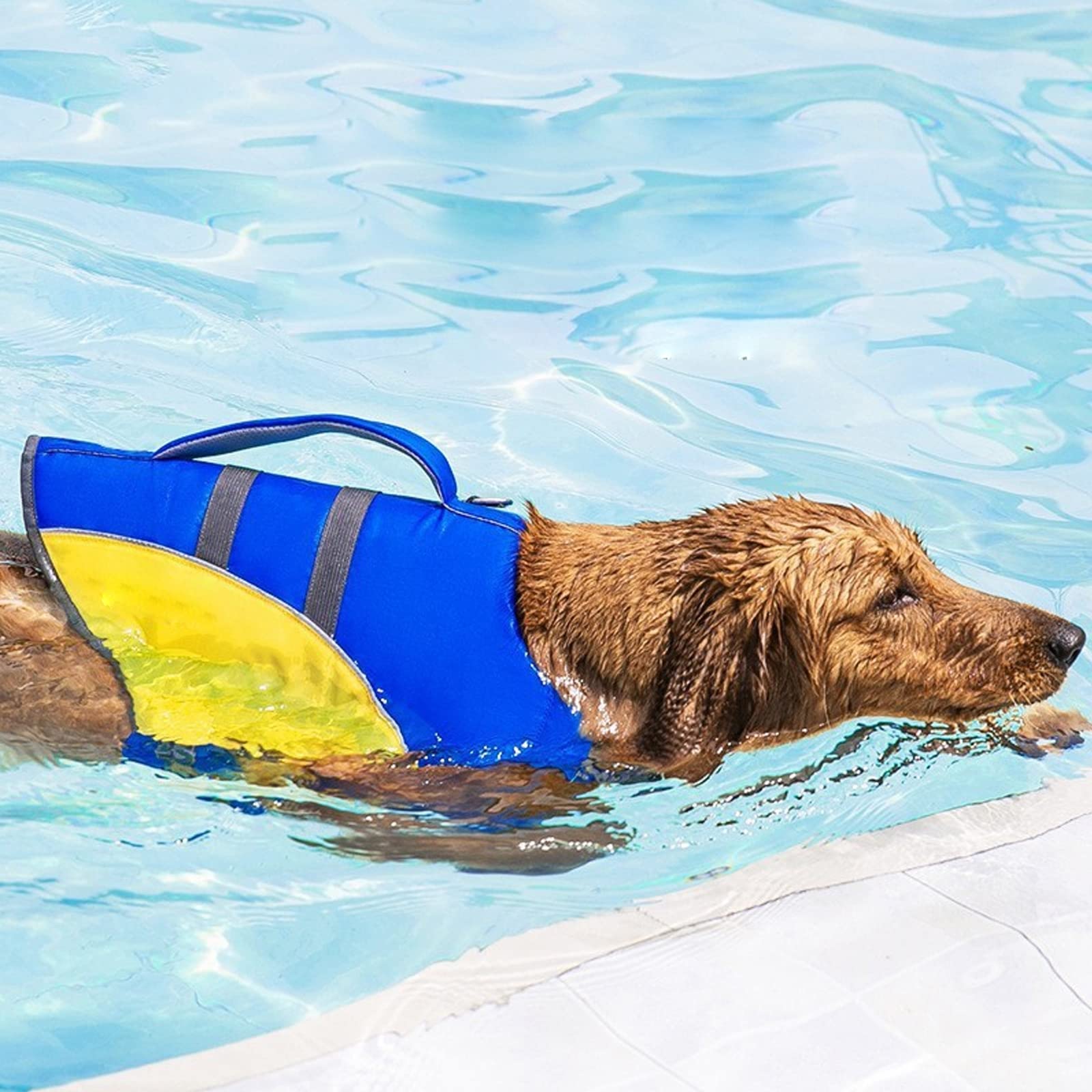 Gilet De Sauvetage pour Chien Gilet De Sauvetage Réfléchissant Réglable pour Chien pour La Natation, La Navigation De Plaisance, Gilet De Sauvetage pour Chiot avec Support De Menton,B,XXL