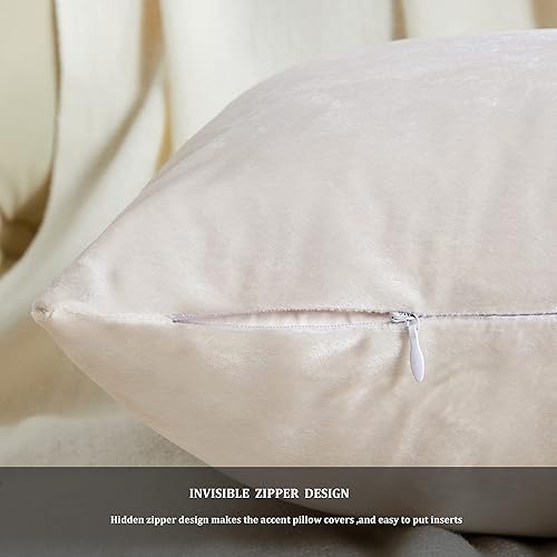 Vista 229 de GIGIZAZA - Juego de 2 fundas de almohada decorativas de 18 x 18 pulgadas, fundas de almohada cuadradas de terciopelo verde azulado pavo real