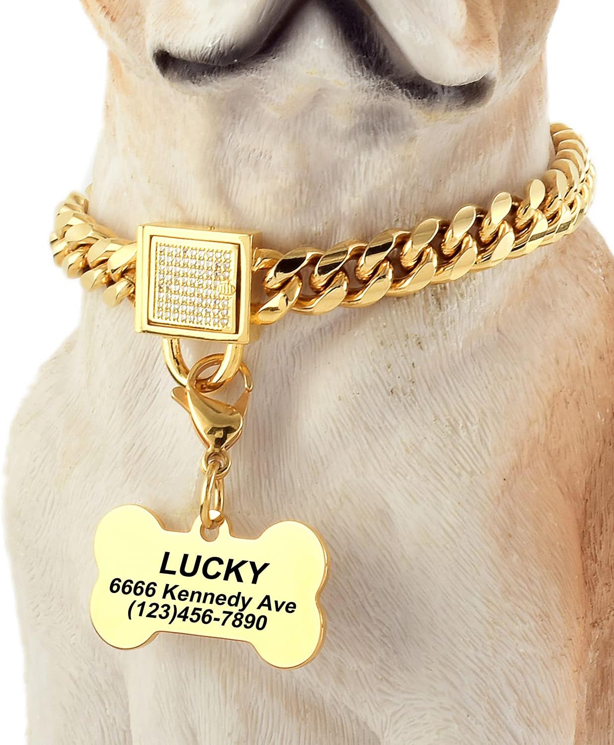 gold dog chain amazon