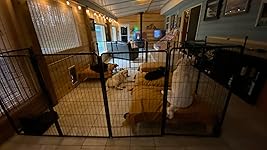 Review Image by Mary J