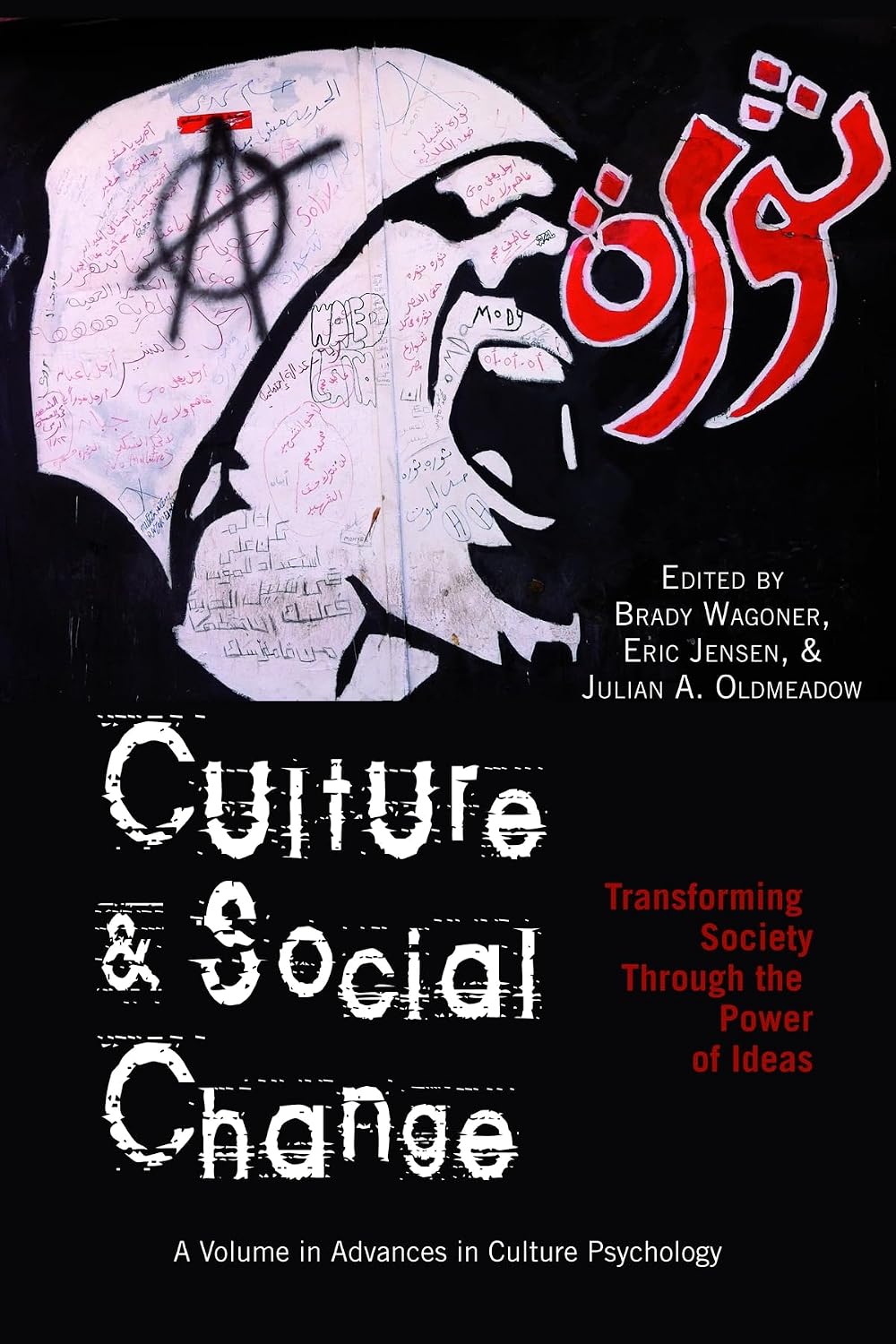 Culture and Social Change: Transforming Society Through the Power of Ideas (Advances in Cultural Psychology: Constructing Human Development)