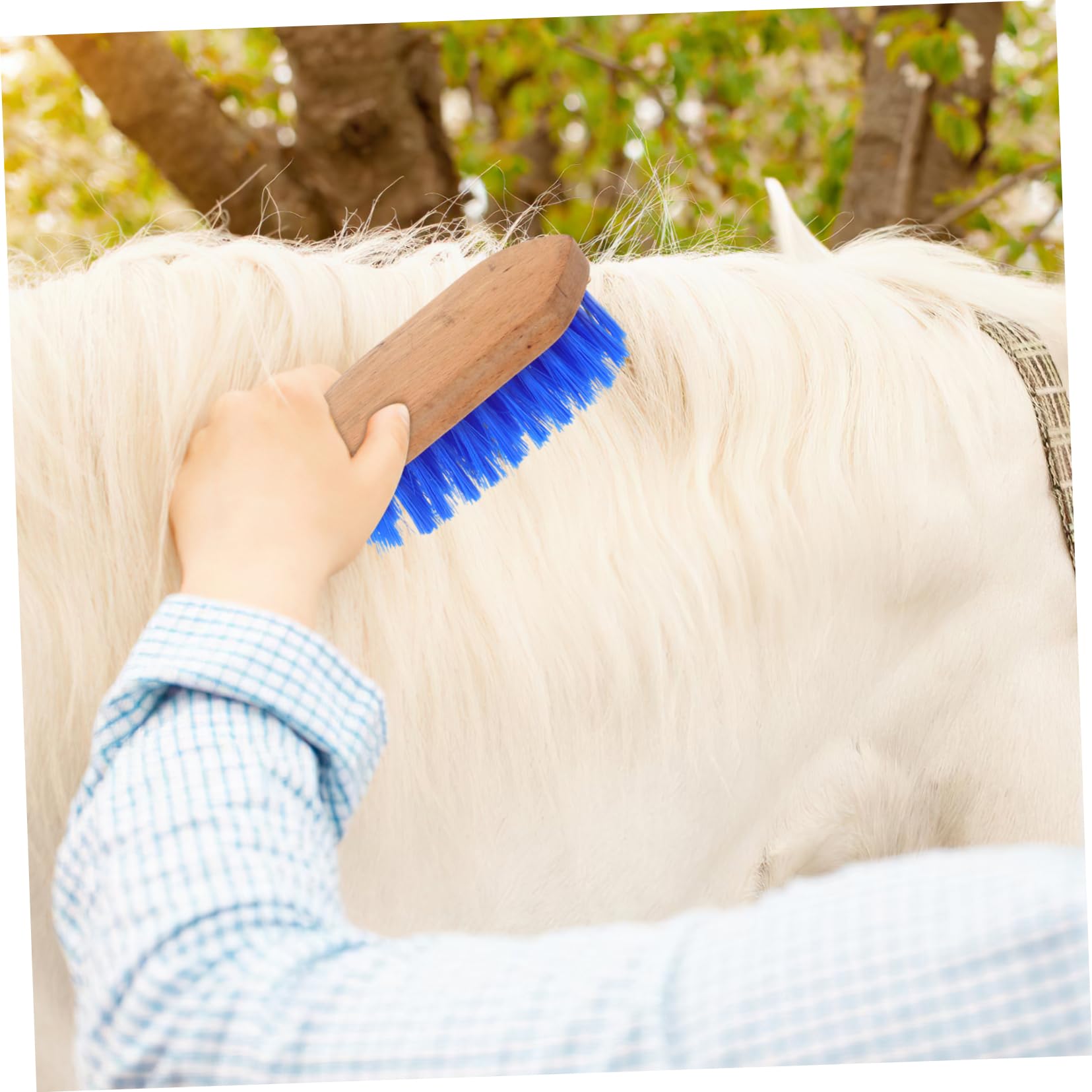 GALPADA 5 Cepillos Para Caballos Cepillo De Limpieza Para Ganado Y Caballos Peine Para Pelo De Caballo Herramienta Para La Muda De Pelo Cepillo De Crin Suministros Para El Cuidado De