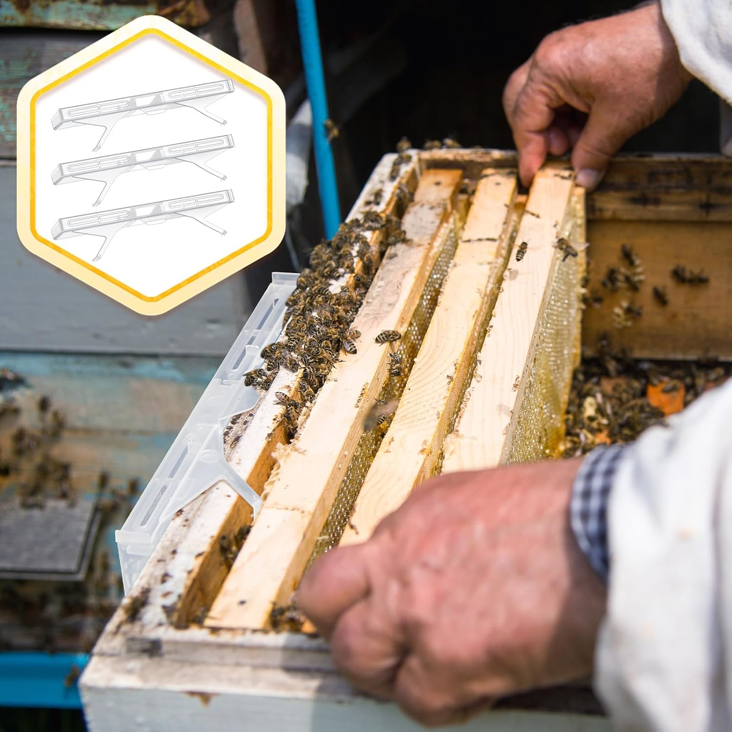 Qualirey 100 Pcs Plastic Hive Beetle Traps Small Beehive Beekeeping Tools Set Bulk Beetle Blaster Kit for Hive Beekeeping Supplies Control Beetles (Clear)