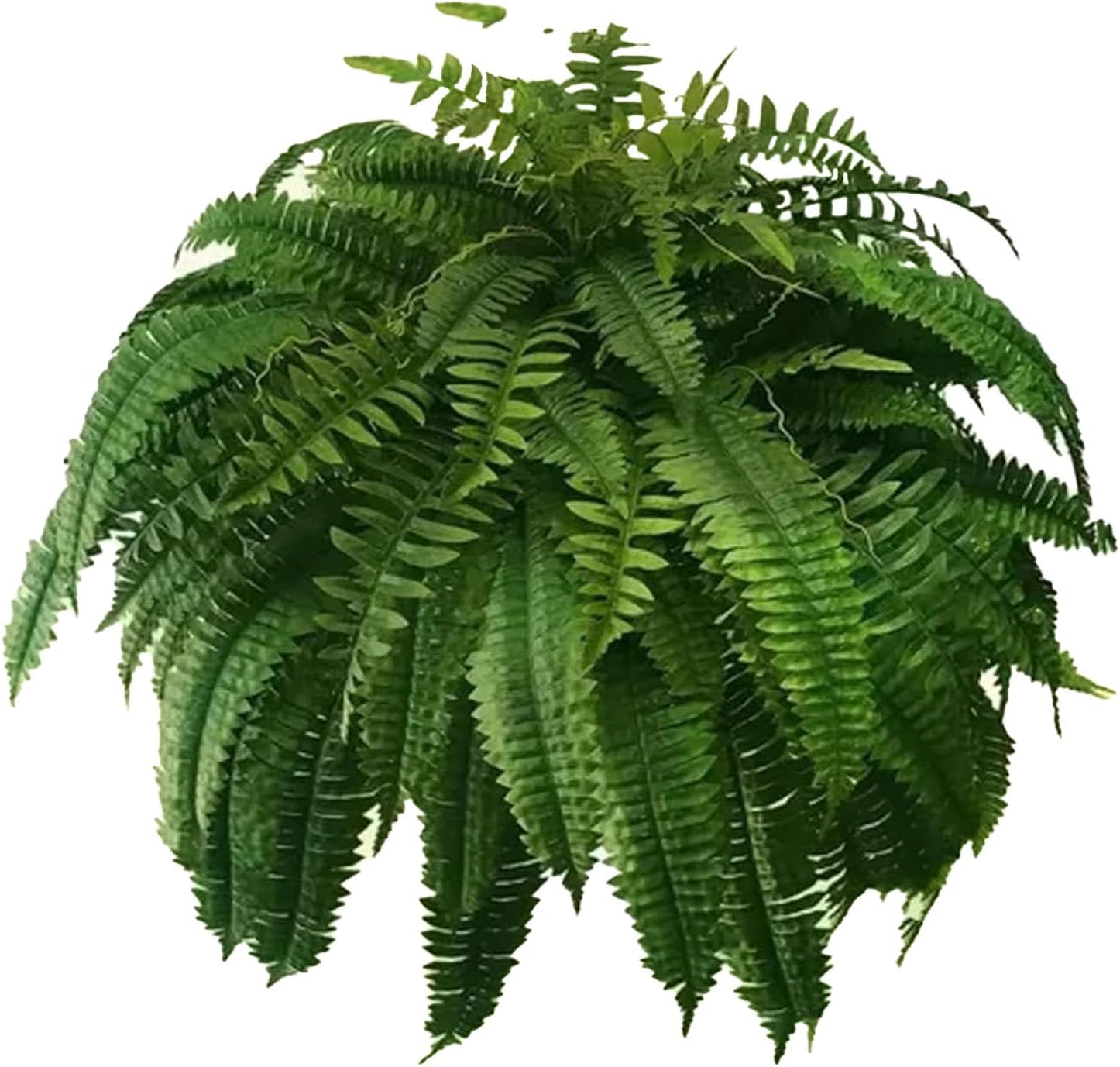 Uv Resistant Artificial Outdoor Plants, Uv Resistant Lifelike Artificial Boston Fern