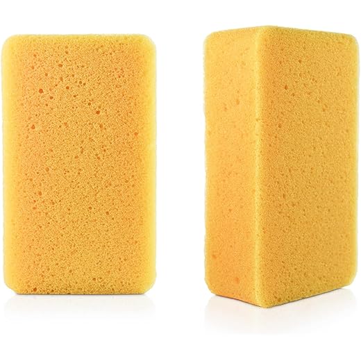 LADYBEE Foam Super Absorbent Car Wash Sponges (Pack of 2)