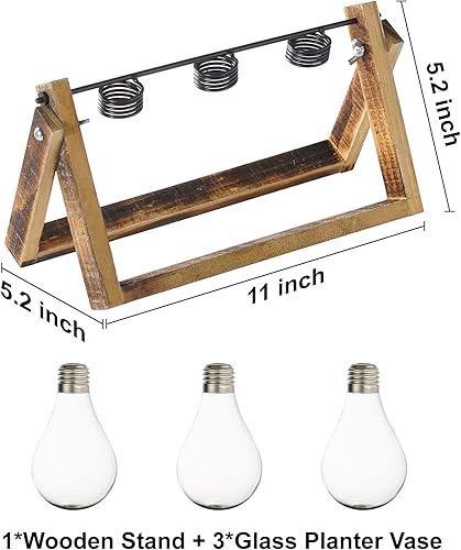 Miniatura 37 de Marbrasse - Jarrón hidropónico de cristal de sobremesa, florero con soporte para decoración del hogar, soporte de terrario, contenedor de Scindapsus