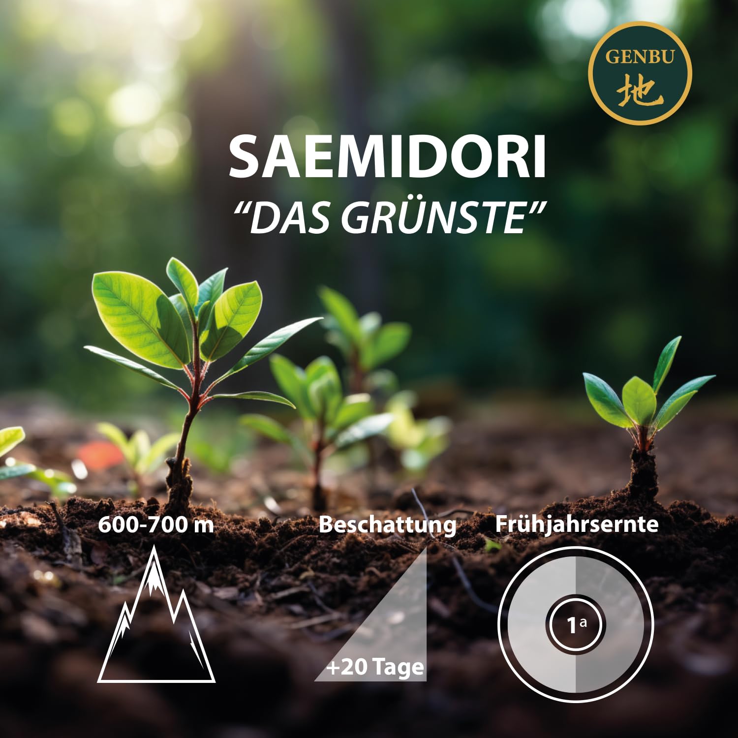 GENBU MATCHA | Japanischer Zeremonieller Matcha-Tee | 100 g | Premium Grüner Tee in Pulverform | Herkunft Japan | 100% Natürlich & Rein | Ideal für Matcha Latte, Zeremonie & Rezepte | Glutenfrei