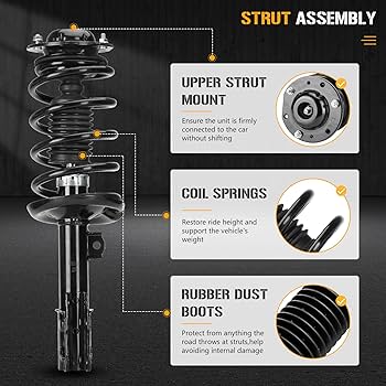 Amazon.com: Front Left and Right Complete Strut Spring Shock