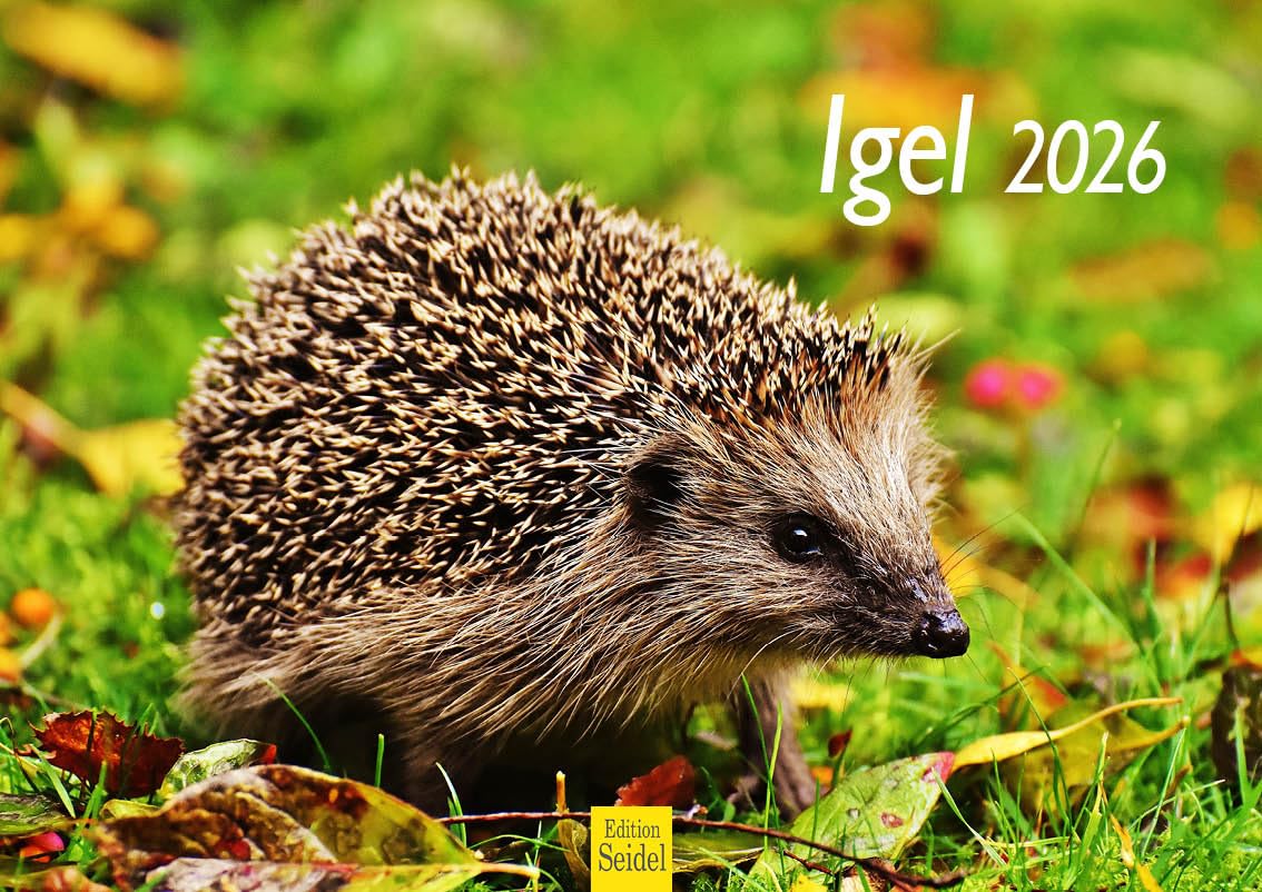 Calendrier Mural Premium Hérisson 2026 - Edition Seidel A4