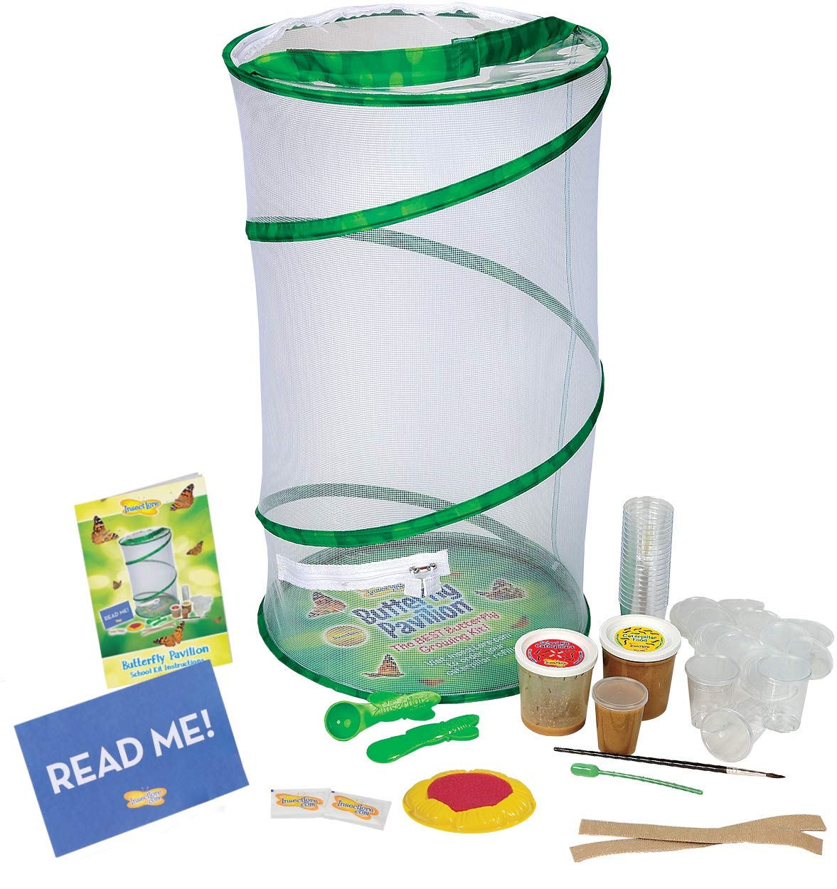 Buy Insect Lore Deluxe School Kit with 33 Live Caterpillars Online at