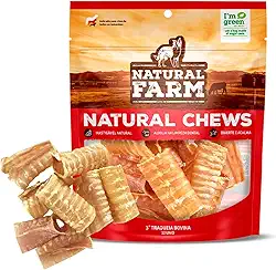 Petisco Natural para Cães Traqueia Bovina Desidratada 12 Unidades Ideal para Todos os Portes Ossinho Mastigável Saudável Pet