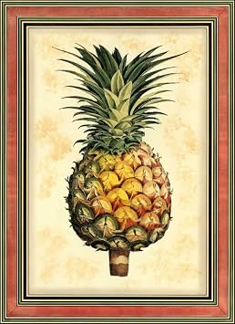 Pineapple Splendor I Poster Print - Studio Vision 24 x 36