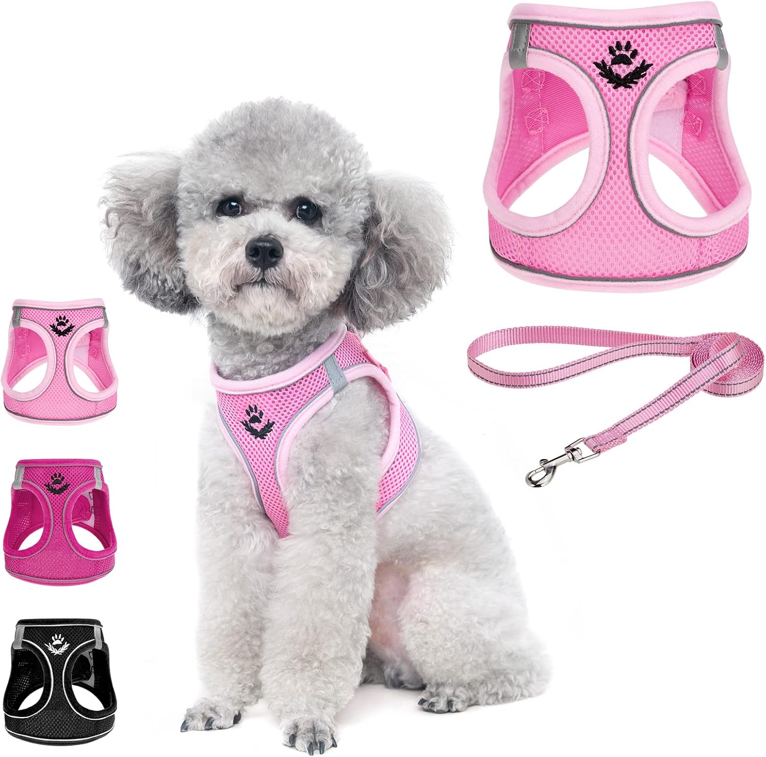 BEAUTYZOO Small Dog Harness and Leash Set,Step in No Chock No Pull Soft Mesh Dog Harnesses Reflective for Extra-Small/Small Medium Puppy…