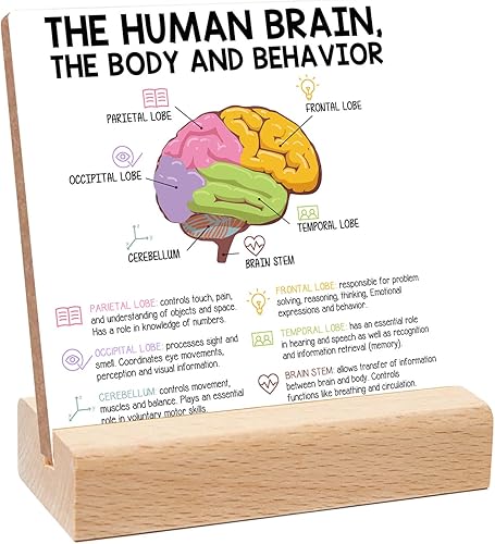 Señal de enseñanza de comportamiento cerebral humano, regalo para maestro, terapeuta, padres, consejero, decoración para sala de tratamiento,