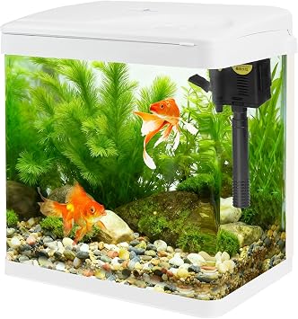 Small Glass Aquarium Tank 8L with Filter and Light, All-in-One Desktop Glass Fish Tank Kit with Pump for Goldfish, Betta, Shrimp, White