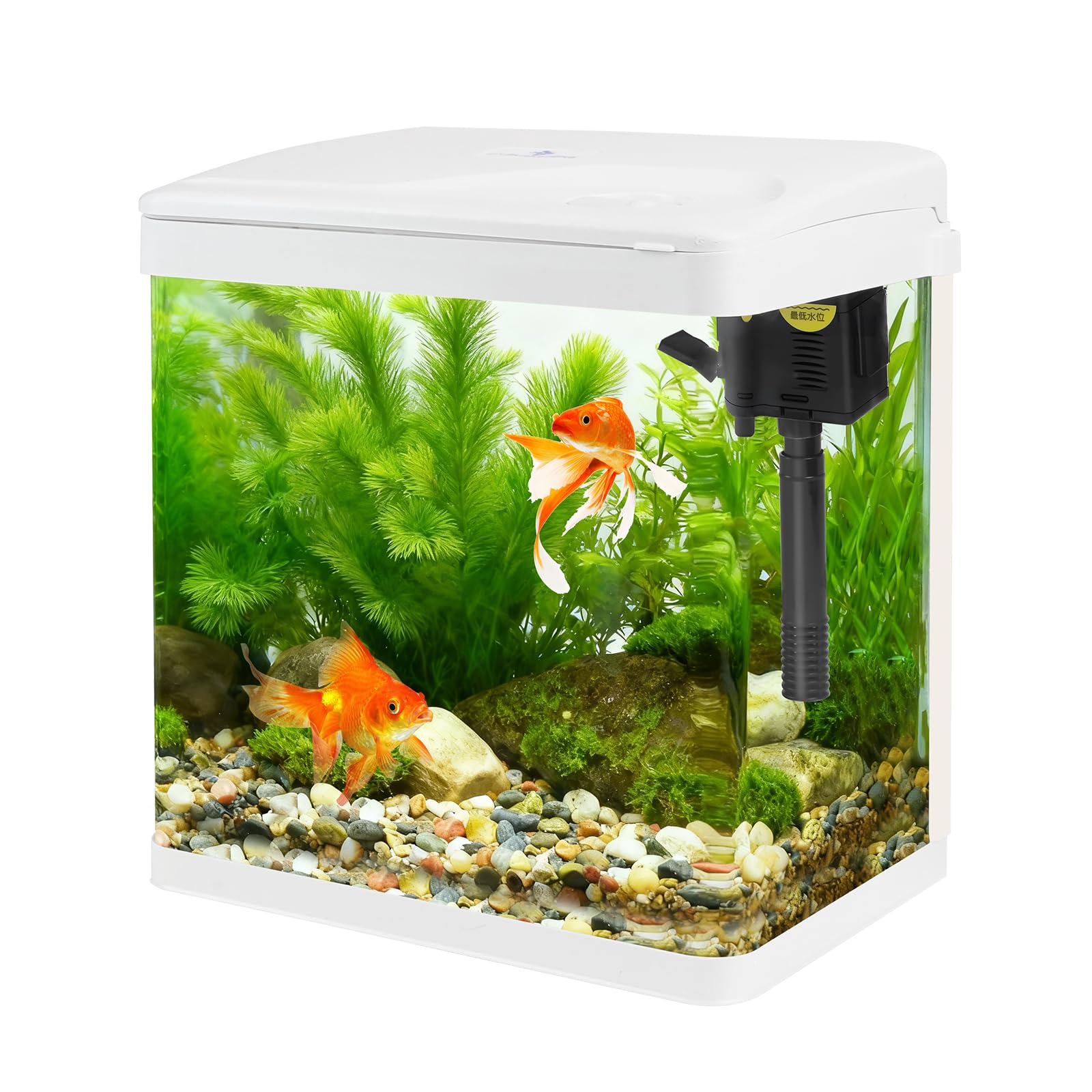 Petit aquarium en verre de 8 l avec filtre et lumière, kit tout-en-un avec pompe pour poissons rouges, betta, crevettes, blanc