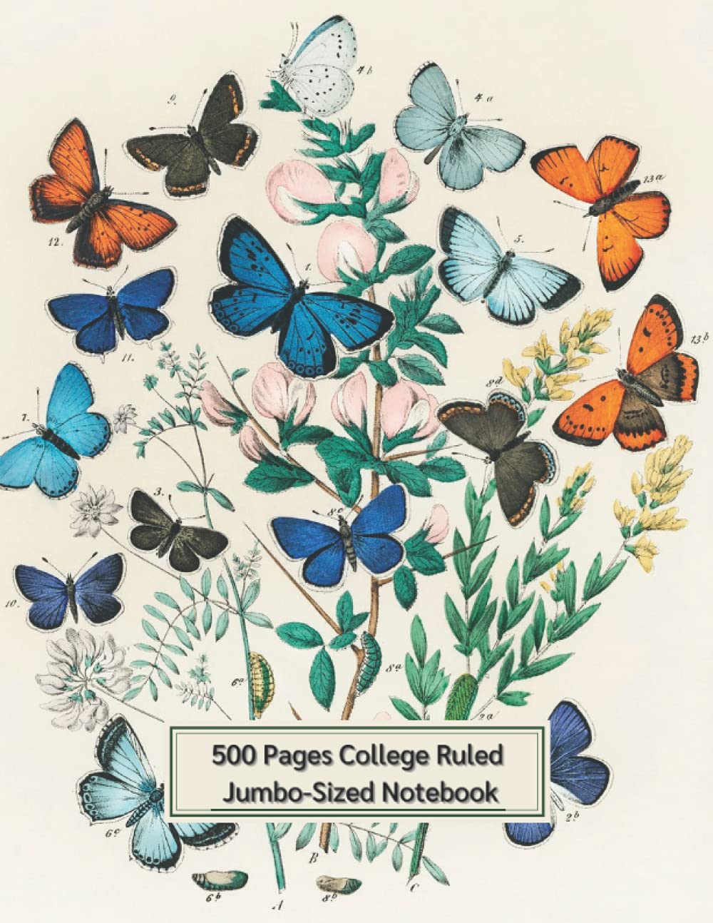 500 Pages College-Ruled Jumbo-Sized Notebook: Giant Notebook 500 Ruled Pages, Butterfly Theme, 8.5x11 inch (Giant Notebook Collection)
