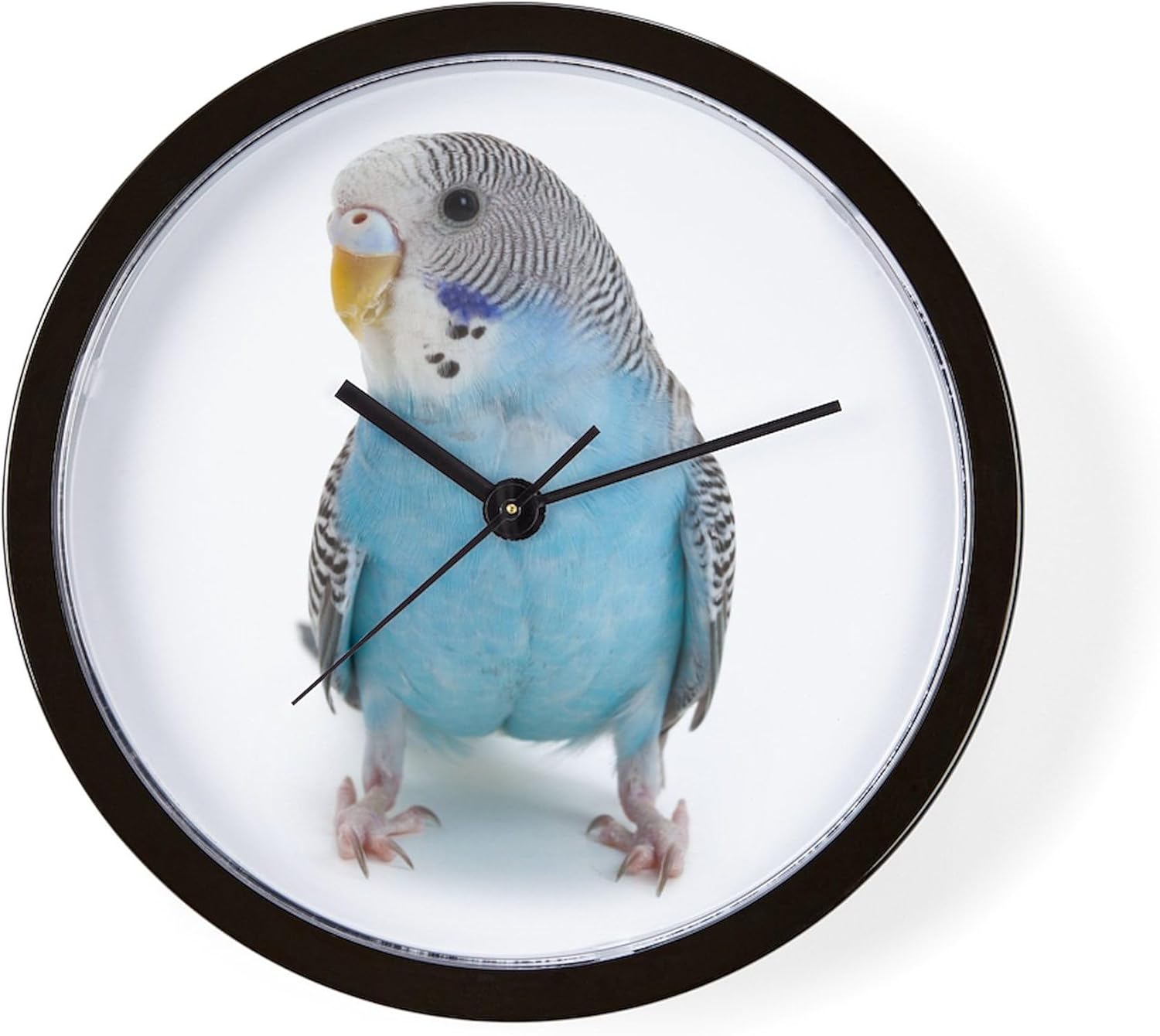 CafePress Blue Parakeet 10" Wall Clock for Livingroom, Kitchen, or Office