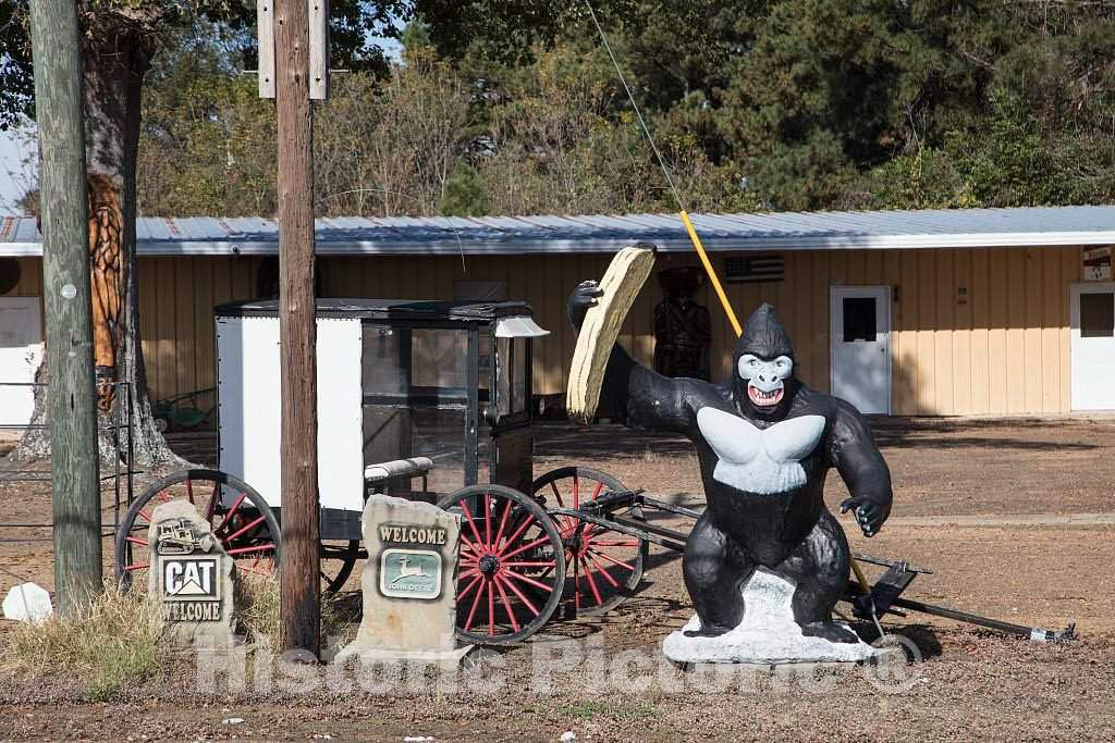 Historic Pictoric Photo - A Large Piece of Painted Wood Takes The Place of a Banana in The Hands of a Gorilla Figure That Stands, for Reasons unexplained, in a Yard in Marks, Mississippi 12in x 08in