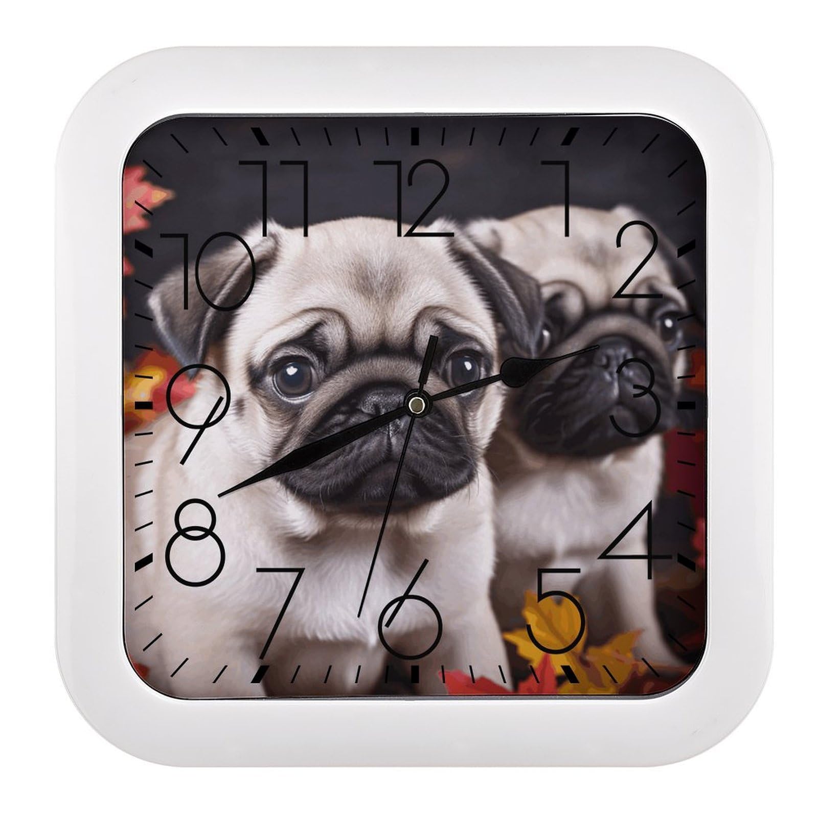 MUSM 10.2 X 10.2 Inch Modern Puppys Pug Wall Clock Battery Operated High Accuracy Decorative Square Clocks for Kitchen Bedroom Living Room Home Office Porch