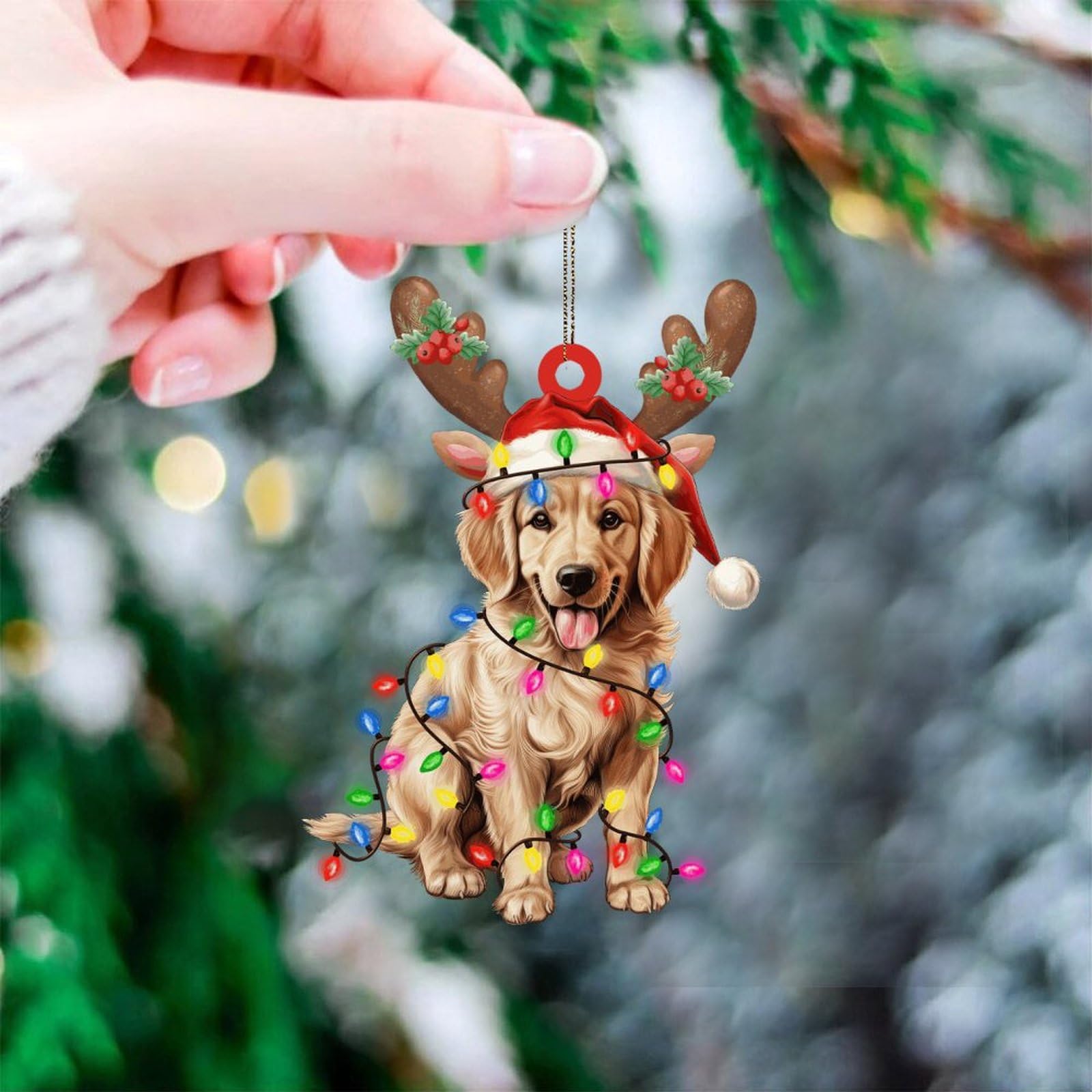 Golden retriever is bang voor roltrap maar baasje weet meteen wat hem te doen staat
