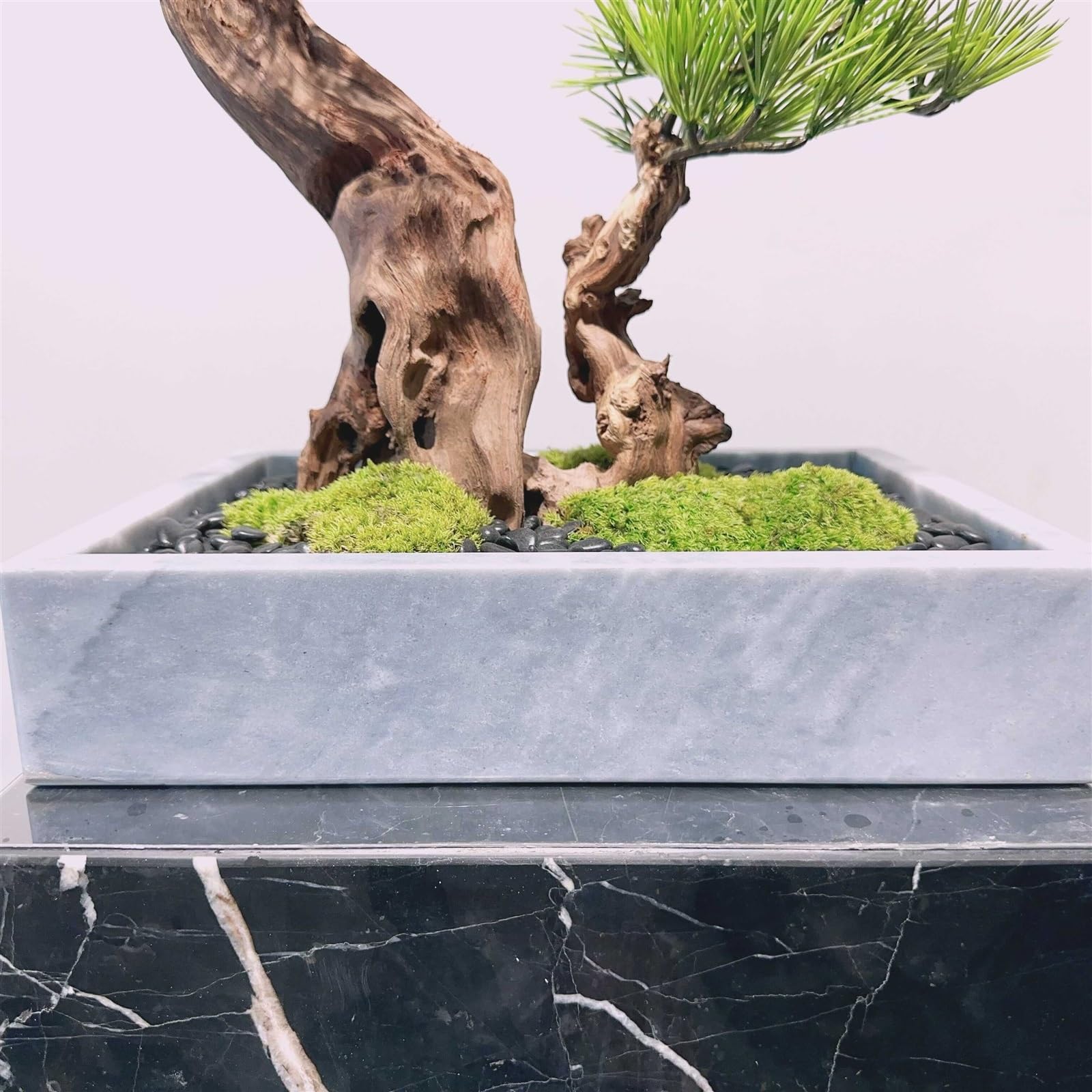 Amazon.com: vase Modern Simulation Pine Tree Bonsai Creative Entryway Corner  Decoration Fake Tree Greenery Ornaments Living Room Ornaments vase : Home &  Kitchen