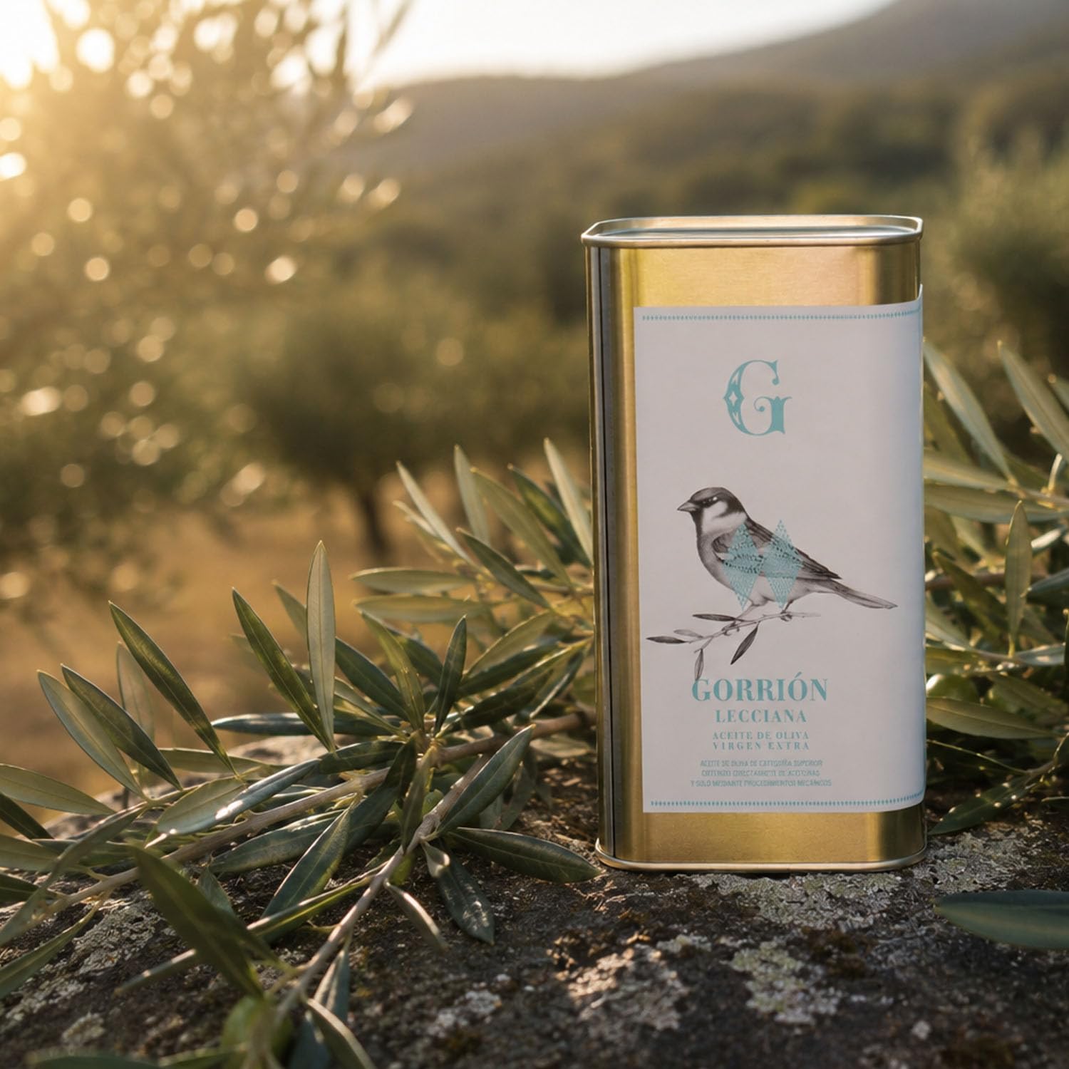 ANIDO GORRIÓN Aceite de Oliva Virgen Extra Premium 100% Lecciana – AOVE Cosecha Temprana, Extracción en Frío <27°C, Baja Acidez 0,08%, Origen Aragón (España), 1 Litro