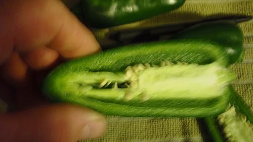 Miniatura 4 de Semillas gigantes de pimienta jalapeño enormes PODS grandes rellenos MILD.(50 - Semillas)