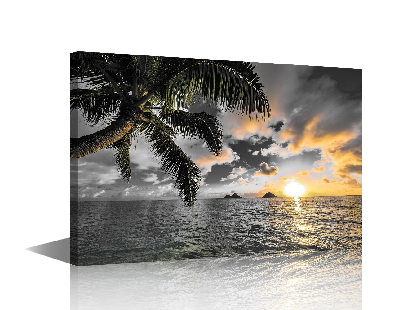 TISHIRON Black and White Canvas Wall Art White Cloud Beach Coconut Trees Prints Painting Stretched and Framed Paintings Ready to Hang for Home Decorations Office Wall Decor 24X16inch