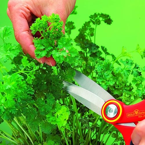 Miniatura 3 de WOLF-Garten Tijeras multiusos RAX