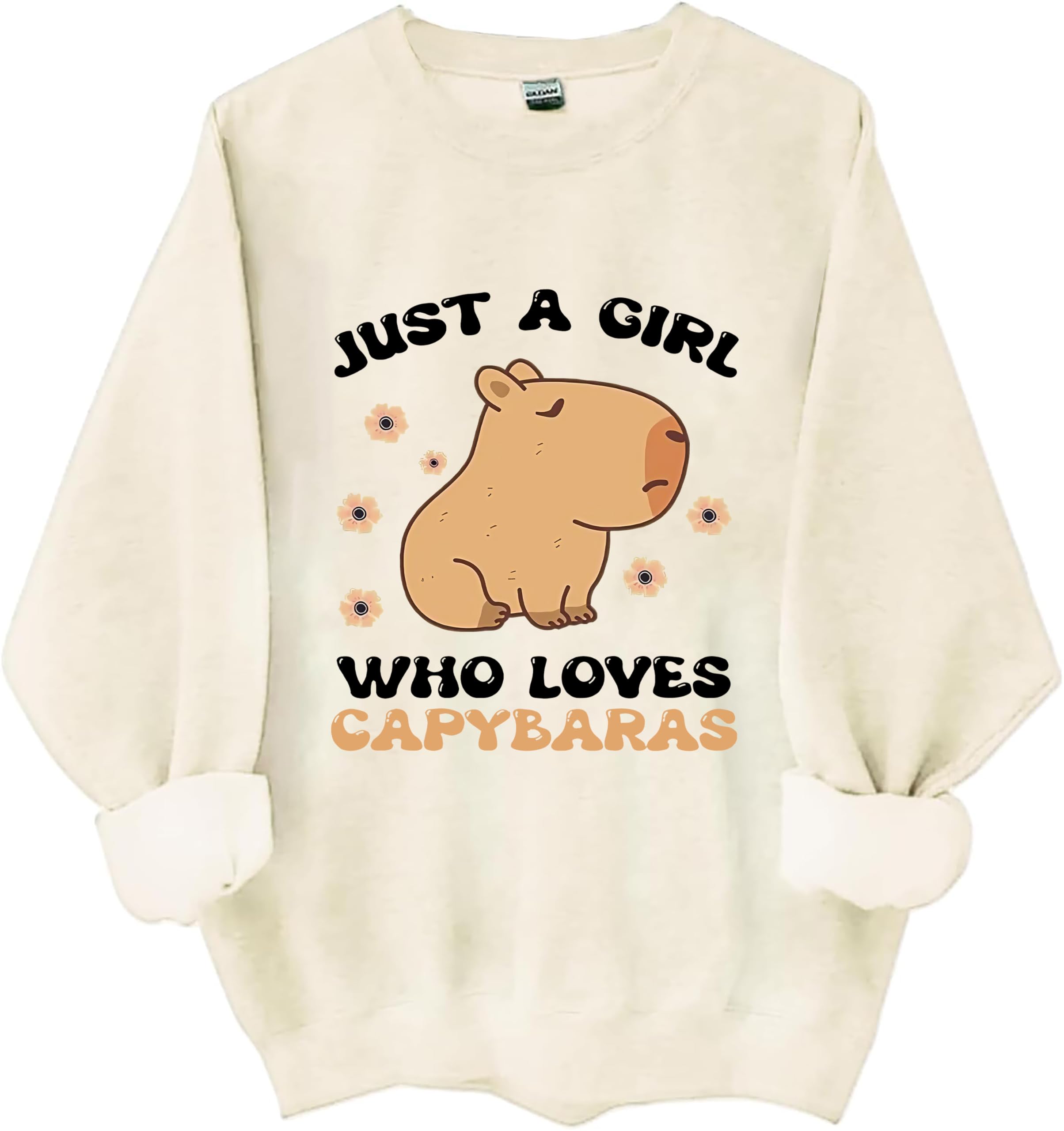 Just A Girl Who Loves Capybaras Sweatshirt, Cute Capybara Lover Graphic Crewneck Sweatshirt for Women