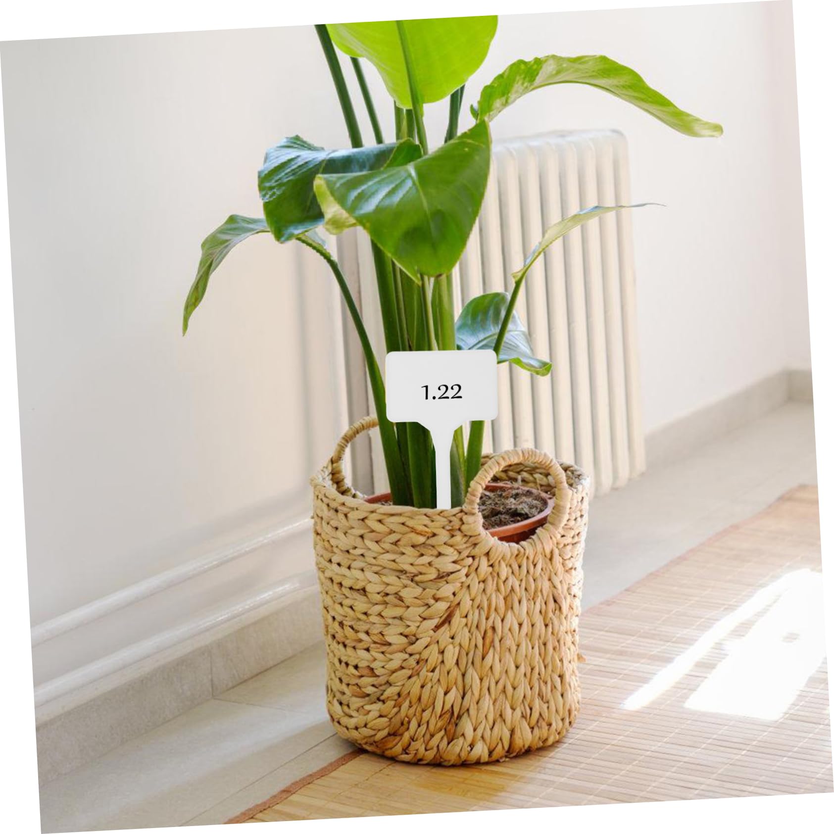 Abaodam 150pezzi Etichette Per Piante Plastica Per Giardinaggio Per Identificare e Decorare Piante Vasi e Aiuole Facili Da Scrivere e Inserire Per Uso Ed Esterno