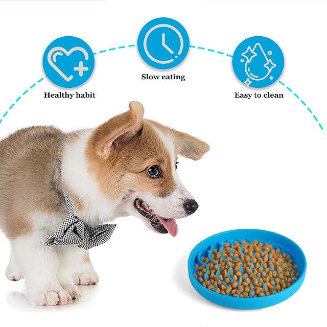 Foto 6 de 7 de Comedero Antivoracidad Perro y Gato Ø 20 cm
