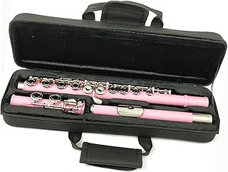 Flute 16 Hole Closed Hole C Key Instrument Cupronickel Nickel Plated Pink Flute W/E Key flute instrument