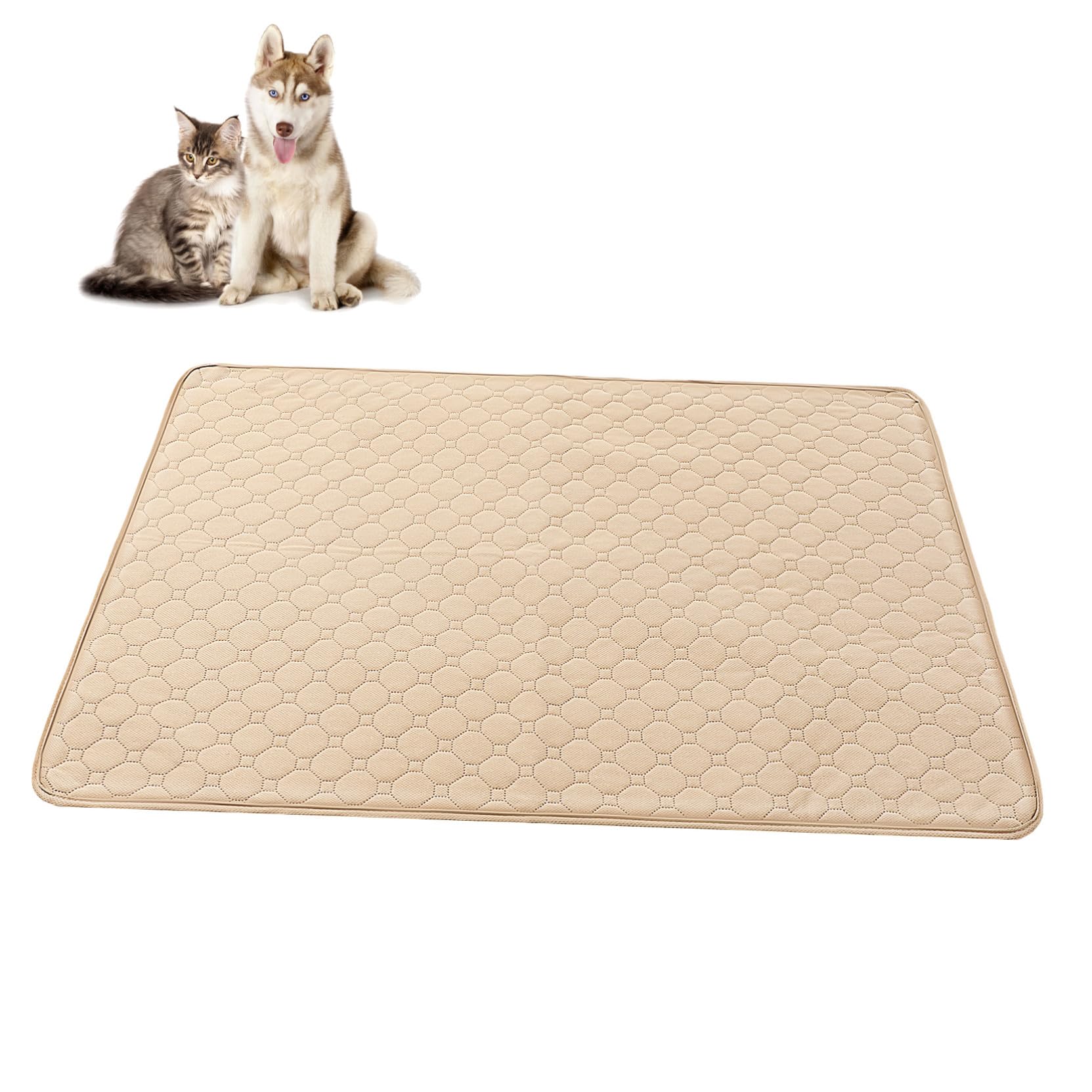 Tapis apprentissage pour chiens lavable pour stopper les fuites et taches