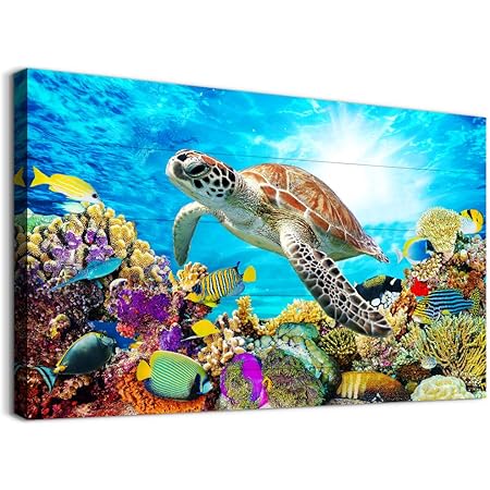 Amazon Com Sea World Orca Dolphin Sea Turtle 3d Poster Wall Art Decor Framed Print 14 5x18 5 Lenticular Posters Pictures Memorabilia Gifts For Guys Girls Bedroom Animals In