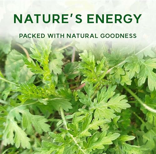 Miniatura 3 de K-Herb Polvo de artemisa coreana  Artemisa seca 100 % pura de Corea, ingrediente natural para té de hierbas, uso culinario, polvo a base de plantas