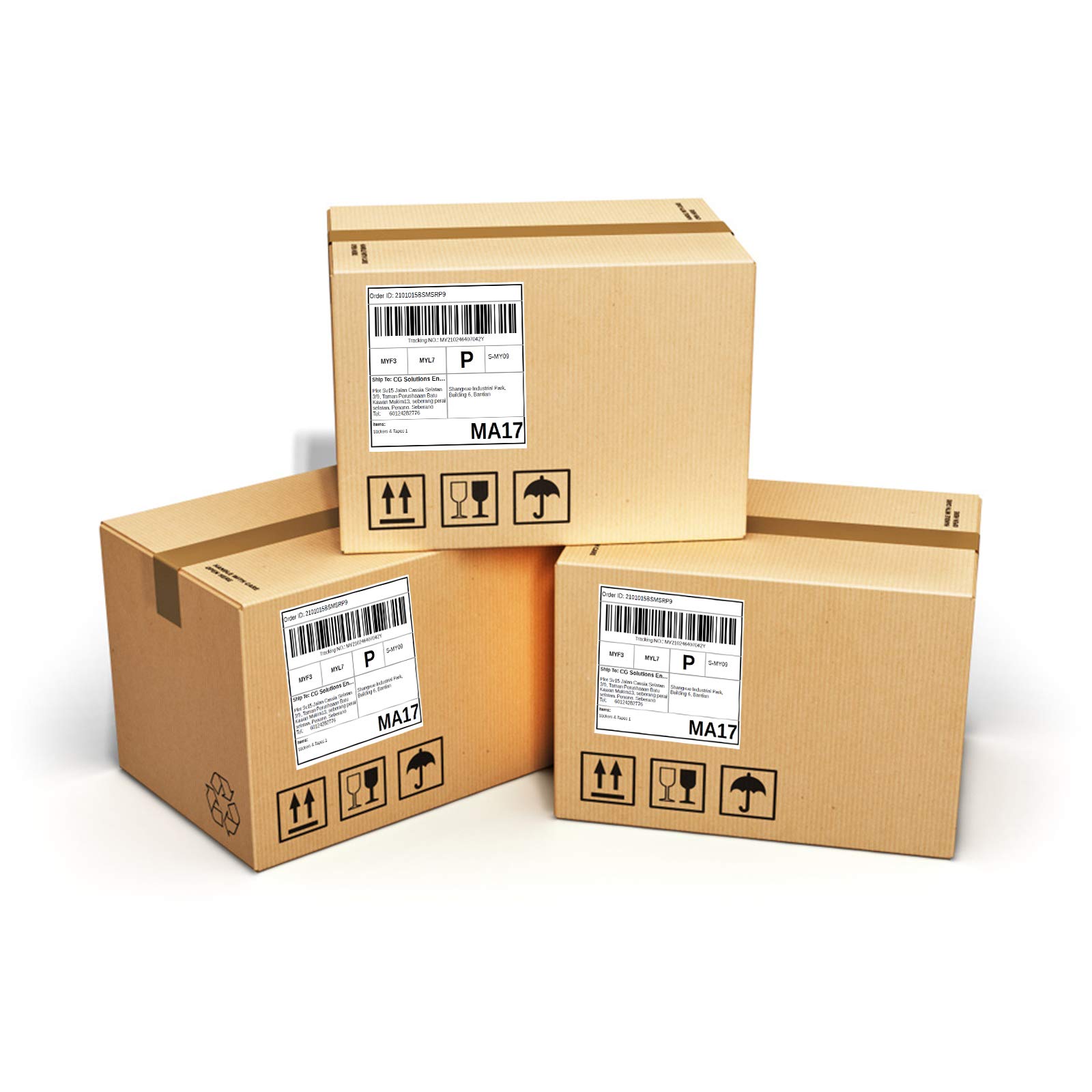 Compatibile per stampanti di etichette Brother DK-22205 – 62 mm x 30,48 m etichette in carta continua, nero su bianco, per QL-500, QL-700, QL-710W, QL-800, QL-810W, QL-820NWB, QL-1050