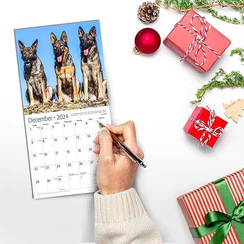 Miniatura 4 de Red Ember - Mini calendario de pared para espacios pequeños, pastores alemanes 2024, colgante mensual mensual por Red Ember, solo 7 x 14 pulgadas de