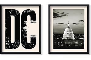 Monem Art Washington DC Poster - Capitol Building Art