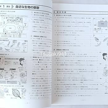 Amazon.co.jp: 中1 理科 夏休み 復習 教材 夏期テキストA 教育