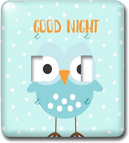 3dRose Uta Naumann Sayings and Typography - Cute Baby Woodland Owl Bird Typography On Blue Polkadots - Good Night - Light Switch Covers - Double
