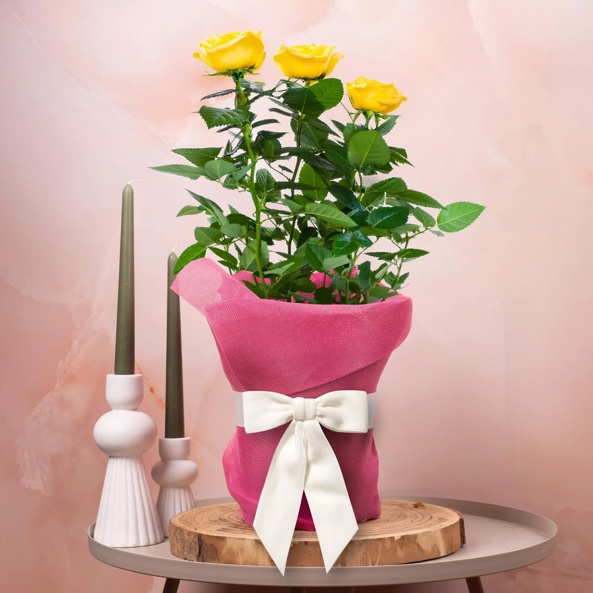 GardenersDream Yellow Rose Outdoor Plant Gift - Live Roses Garden Plant for Birthday, Anniversary & Mother's Day Gifting - Pink Hessian Wrapping, White Bow and Custom Message Card (17cm Pot, 20-30cm)