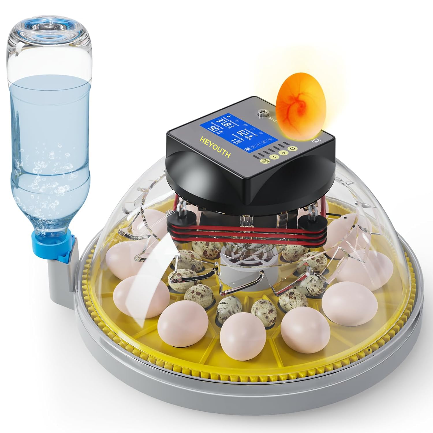 Incubadora de Huevos de Aves,Incubadora Volteo Automatico, Incubadora de 12-24 Huevos,con Control de Temperatura Monitoreo de Humedad,Tapa Transparente ABS,para gallinas,Patos,Gansos,Codornices