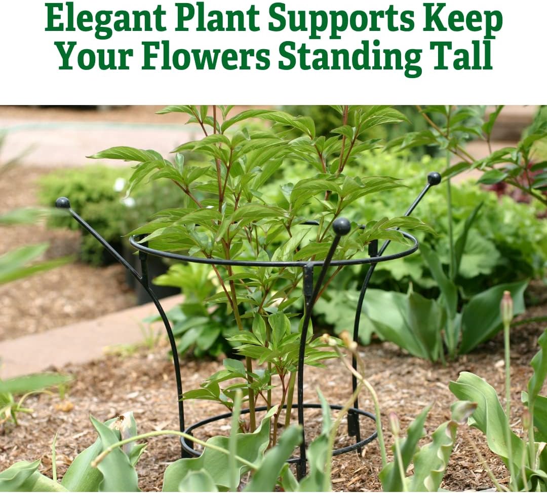 Gardener's Supply Company Essex Plant Support | Sturdy Metal Frame for Peonies & Roses | Standing Flower Garden Cage | Natural Bouquet Shape | Small 23" H X 14" D (Set of 2)