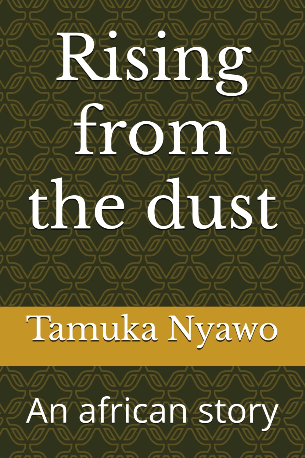 Rising from the dust: An african story