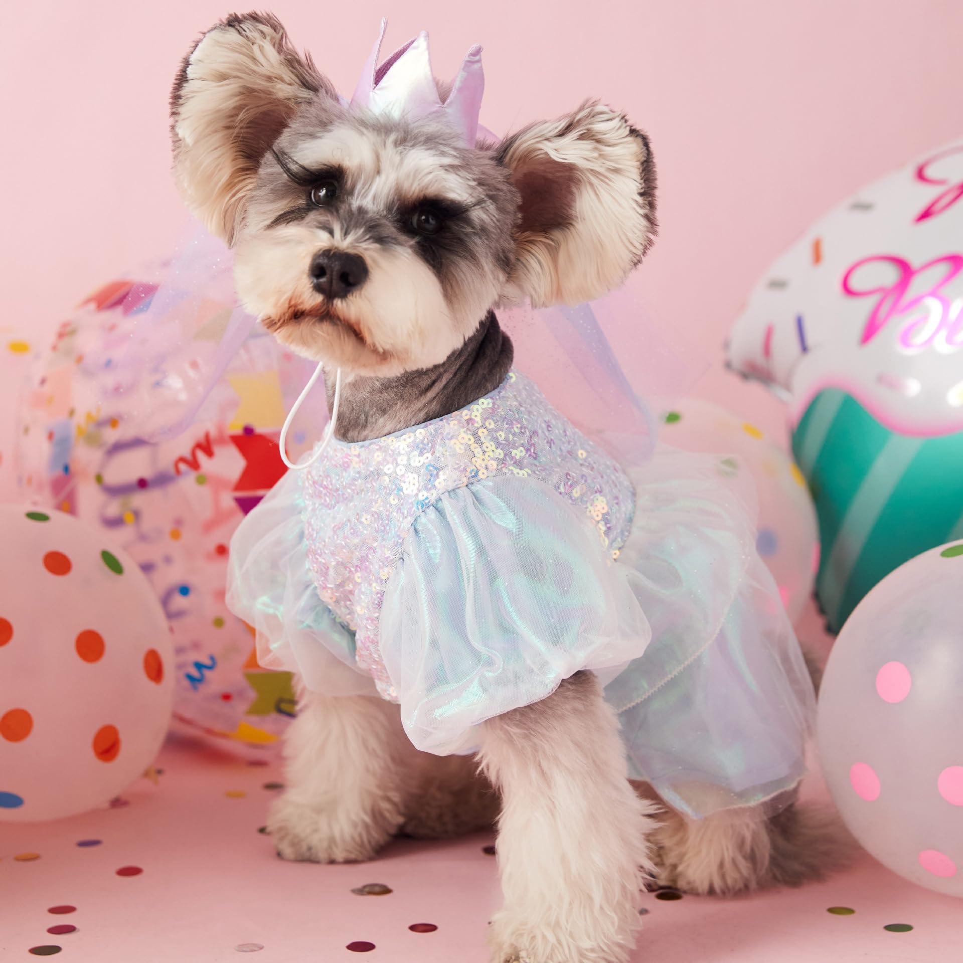 小型犬用ピンクプリンセスドレス Amazon | プリンセスドレス☆ラブリーお姫様☆Happyウェディング