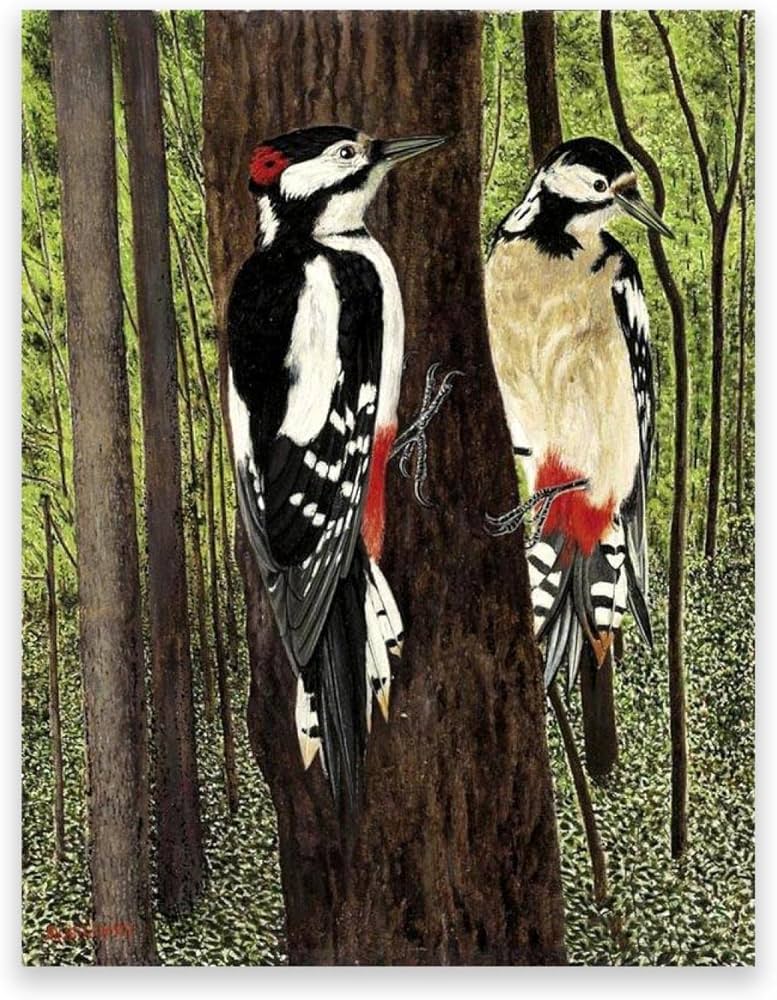 VIRAMONTES アートブック VIRAMONTES アートブック Amazon | Bold